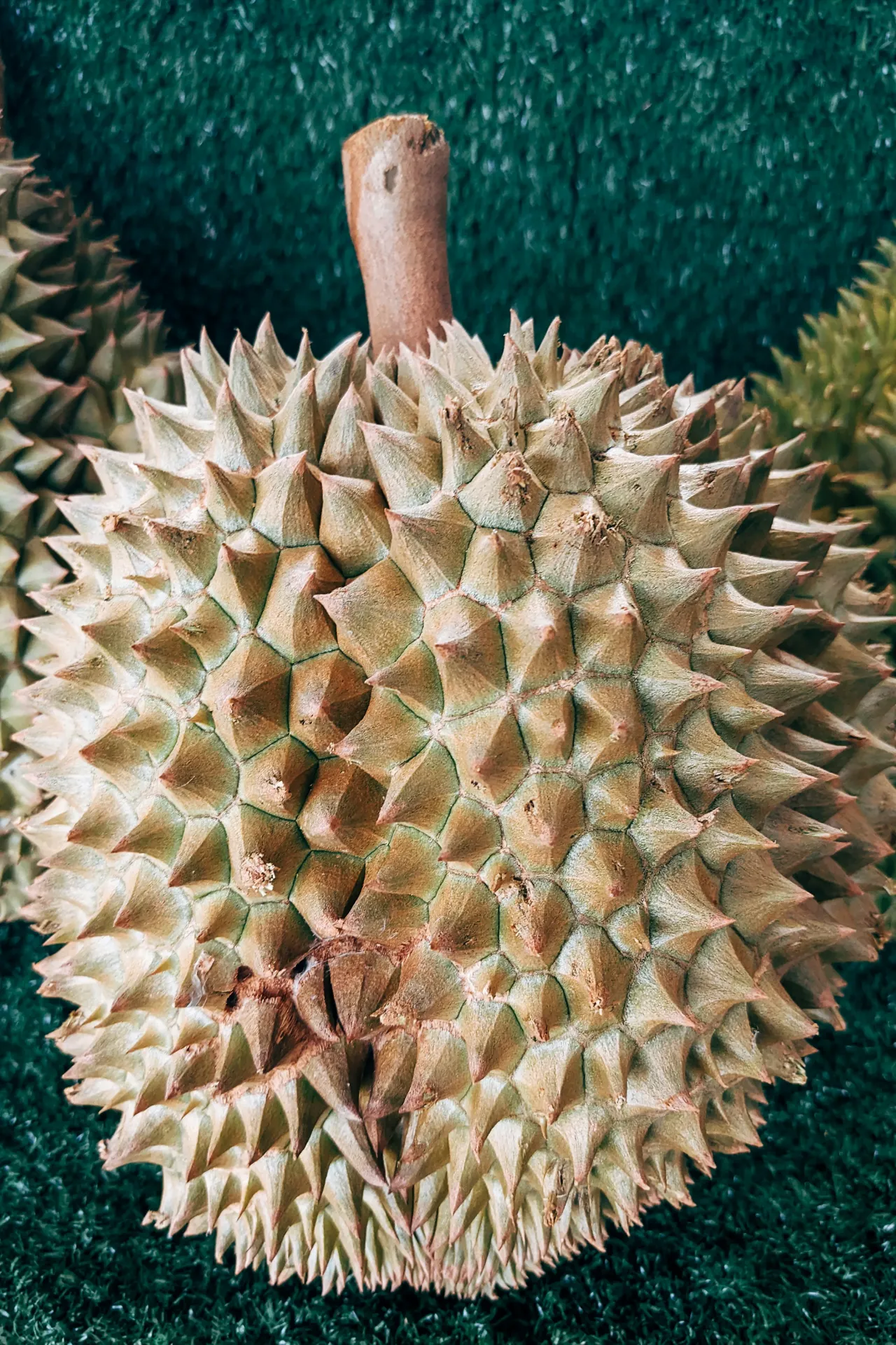 [JAP002 0] Whole Durian 1*12kg 冰冻榴莲