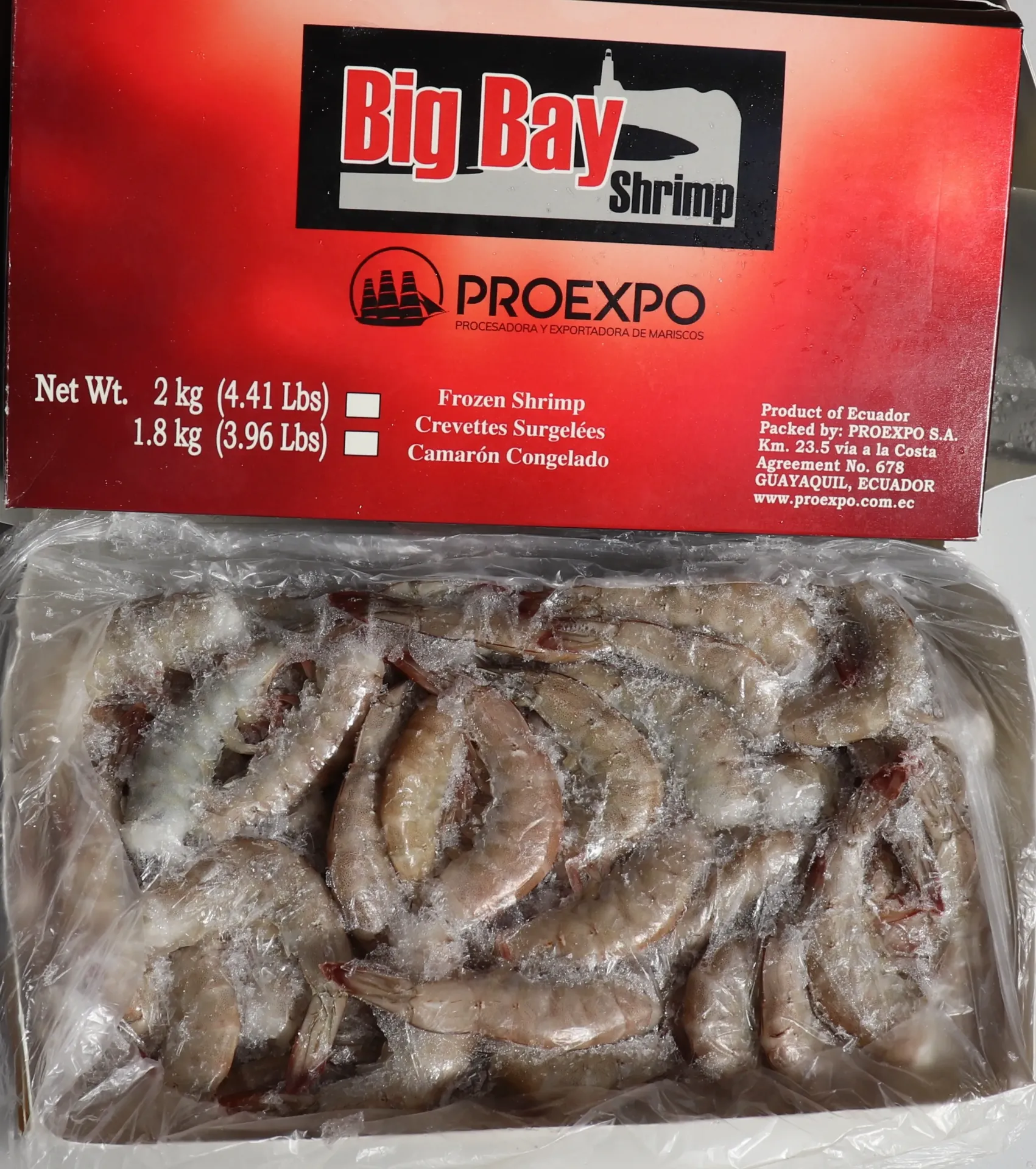 Garnalen EQUA HLSO 31/35 10x2kg 70%  厄瓜多尔有壳白虾