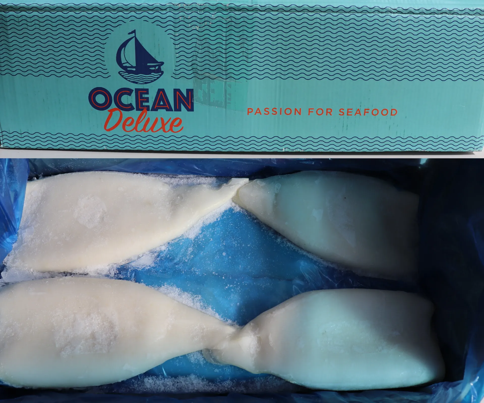 [0318 298] Calamar Peru 4/600 2X5kg 90%  Peruaanse inktvis 秘鲁鱿鱼
