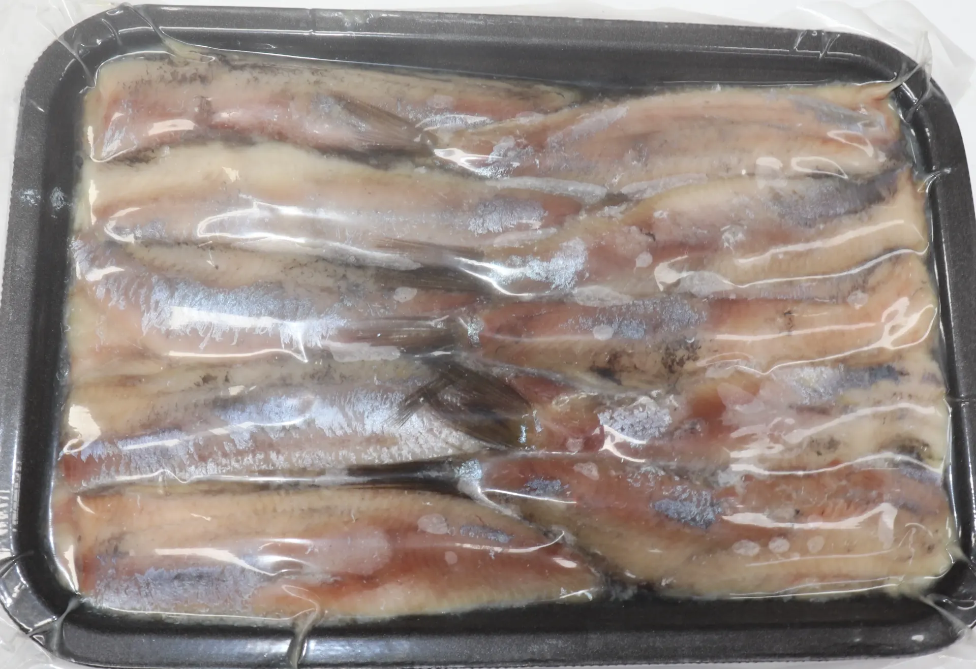 [HARING 0] Hareng (maatjies) 10*10 pc   鲱鱼