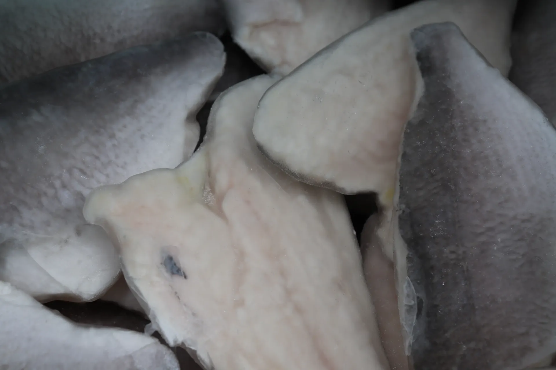 [0526 152] Filet de dorade 80-120g 5kg  海鲷鱼片