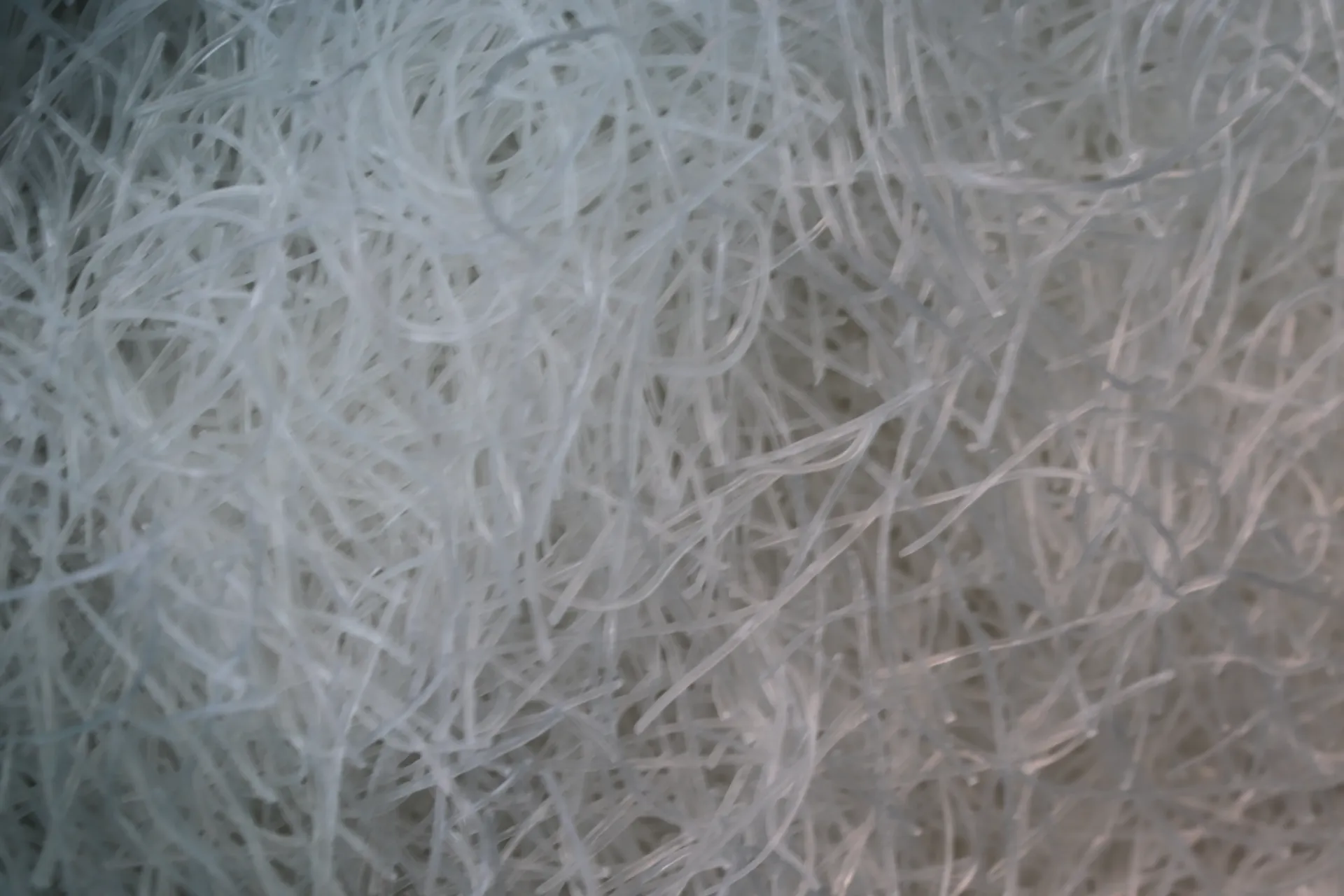 Vermicelli uit China, gesneden 3-5cm 2 x 5kg 碎粉丝