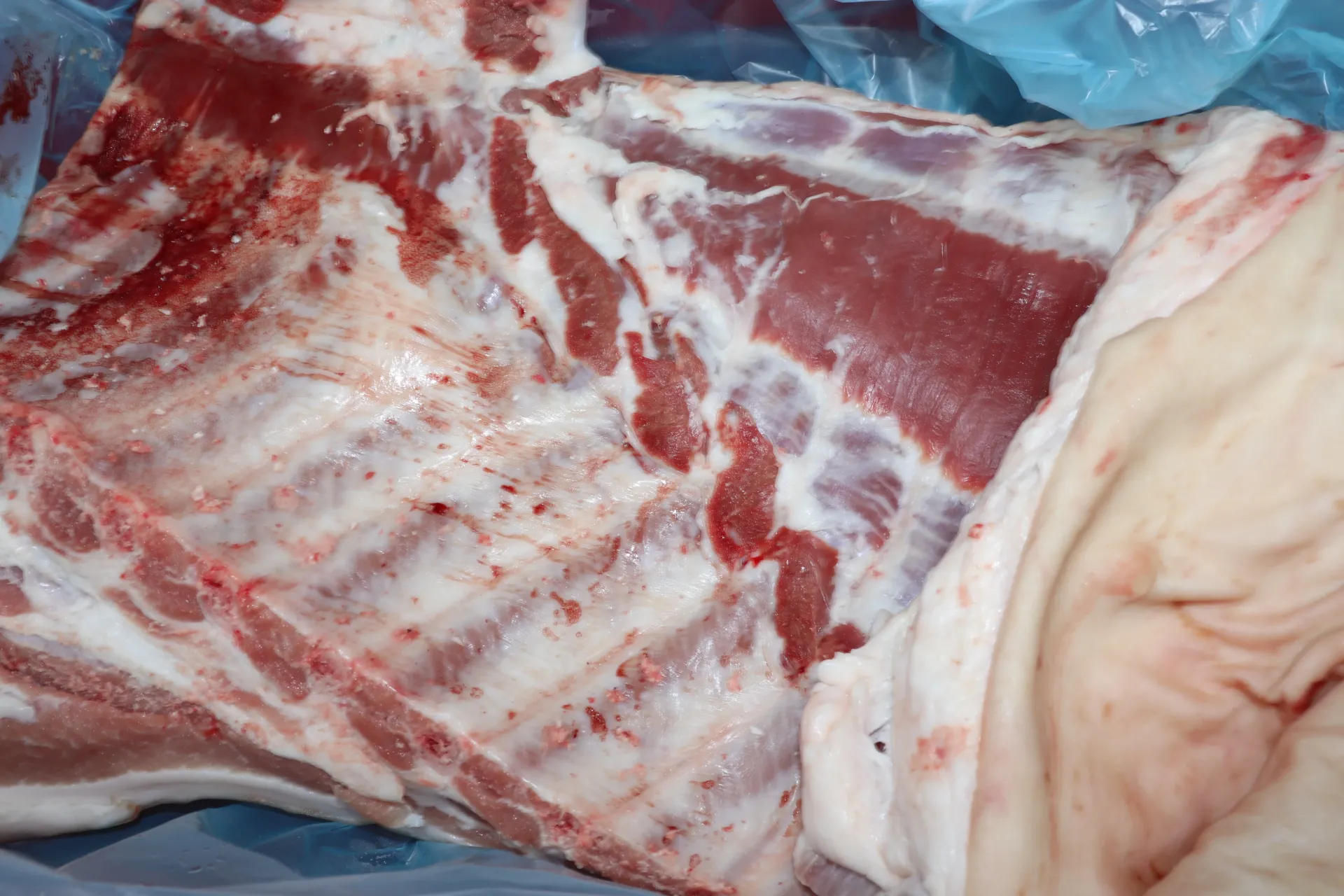 [VIA0061 340] Poitrine de porc avec la couenne 新鲜有皮有骨三层肉